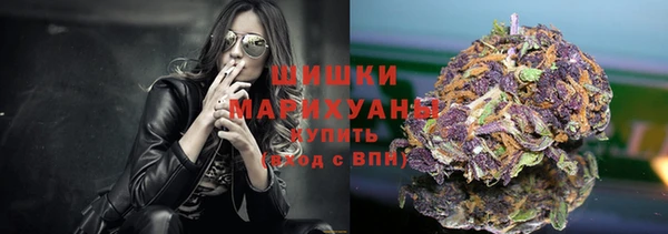 ешки Горняк