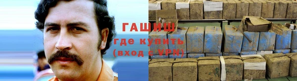 хмурый Гусев