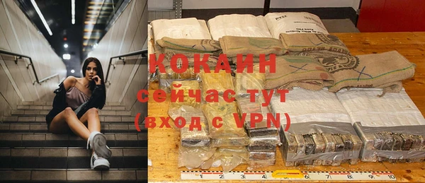 ешки Горняк