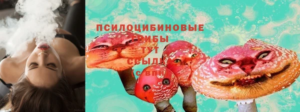 индика Гусь-Хрустальный