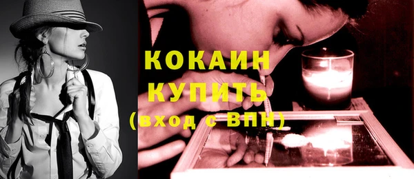 индика Гусь-Хрустальный
