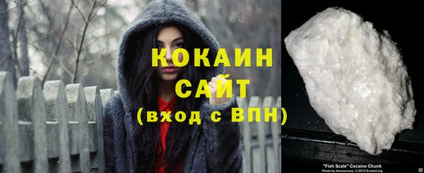 ешки Горняк
